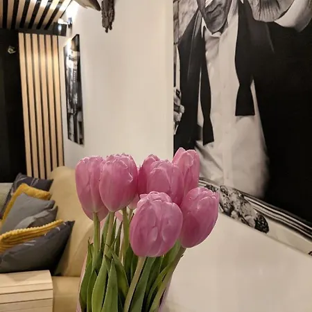 A Haz Tatil Evi Verőcemaros