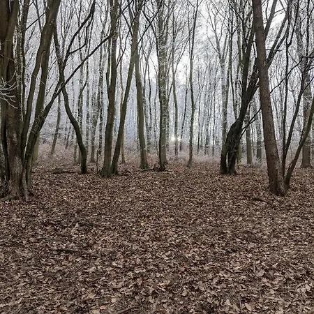 A Haz * Verőcemaros