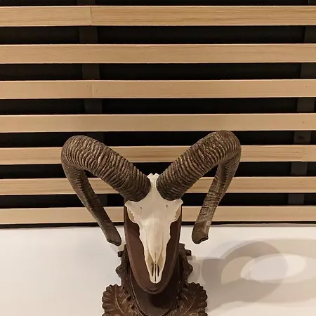 A Ház * Verőcemaros