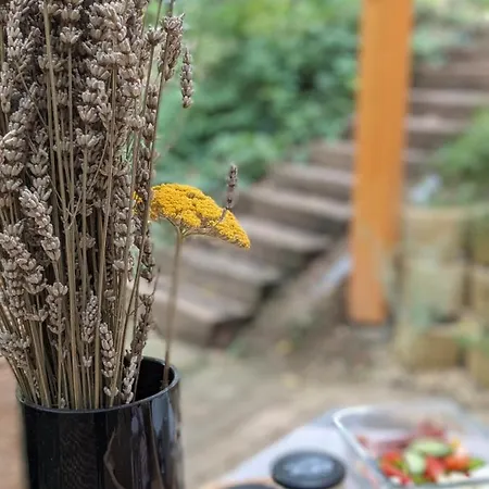 A Haz Ferienhaus Verőcemaros